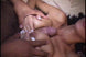 transsexual pole position vol. 4 dvd
