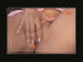 Exquisite Teasing My Step-Sister 3 DVD adult movie video lesbian