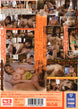 [ssis-103] i spend my days nailing the busty babe next door - sweaty summer sex dvd