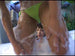 [eight-033d] eight dvd