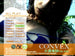 [kme-023] convex dvd