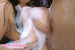 YMDD-066 finest soap - big tits awahime Angela White DVD JAV Japanese adult video interracial erotic movie